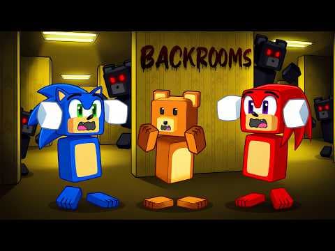 SÜPER AYI SONİC BACKROOMS'TA KAYBOLDU!