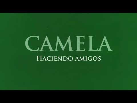 Camela - Haciendo amigos (Canción original de la película) - Lyric Video Oficial