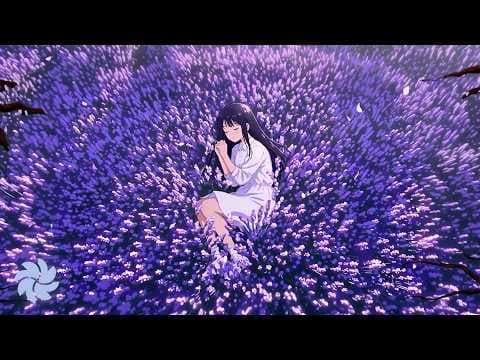 새빛 - 지고 피다 (Official Visualizer)